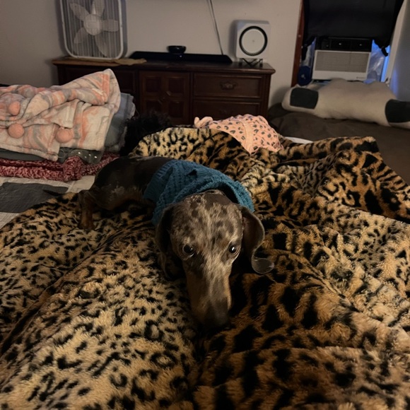 Meet your Posher, Amanda - Picture 16 of 16